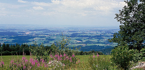 Urlaub in Straubing-Bogen Bayerischer Wald