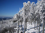 Bayerischer Wald Winterurlaub am Hirschenstein